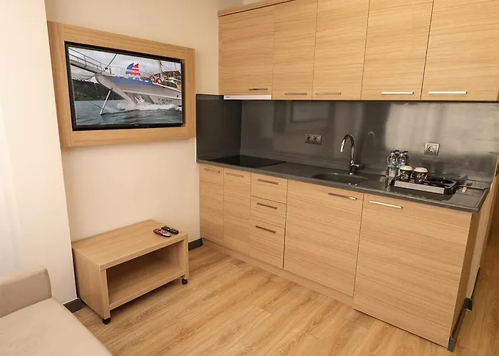 酒店 Alesta Seaside 费特希耶